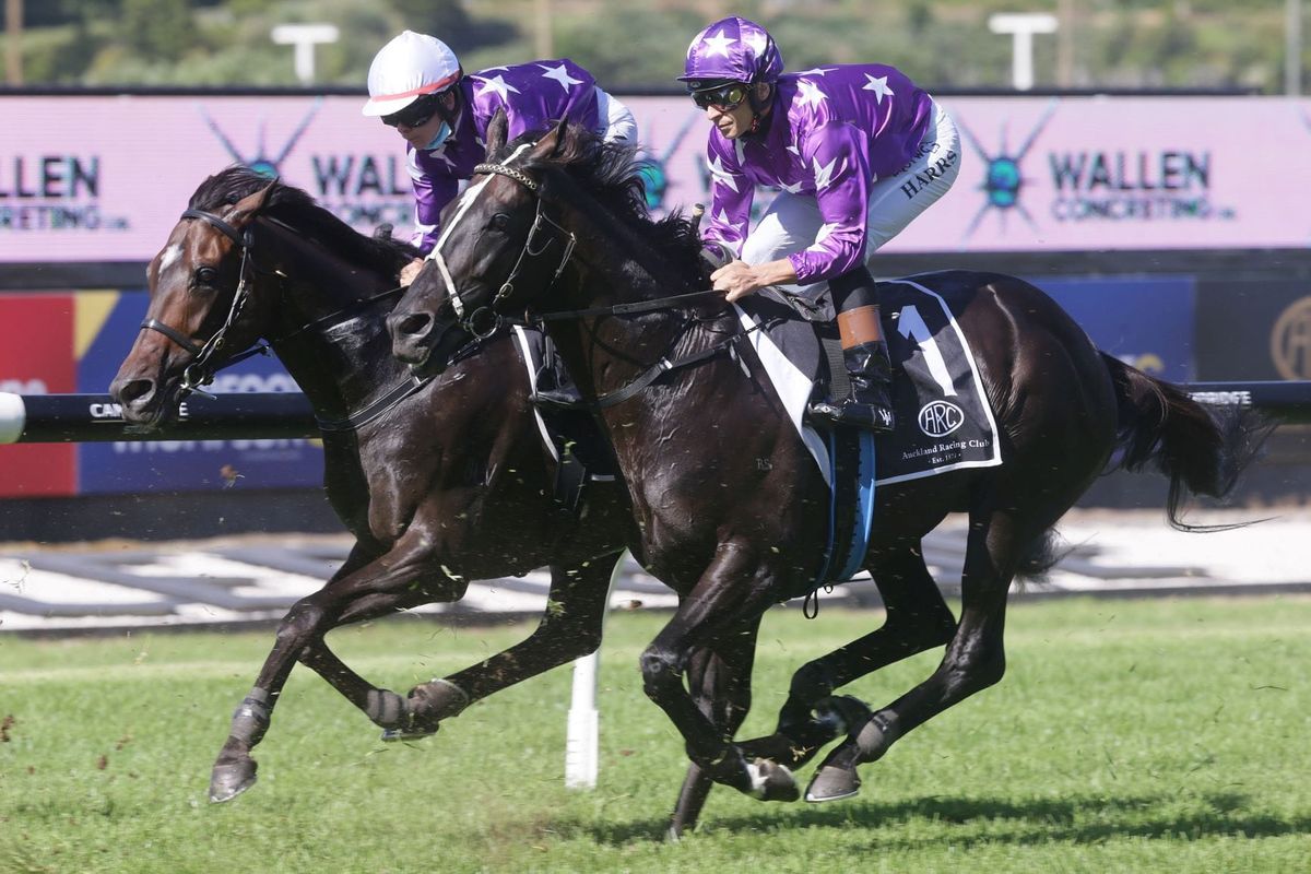 Sound reinforces Auckland Cup credentials