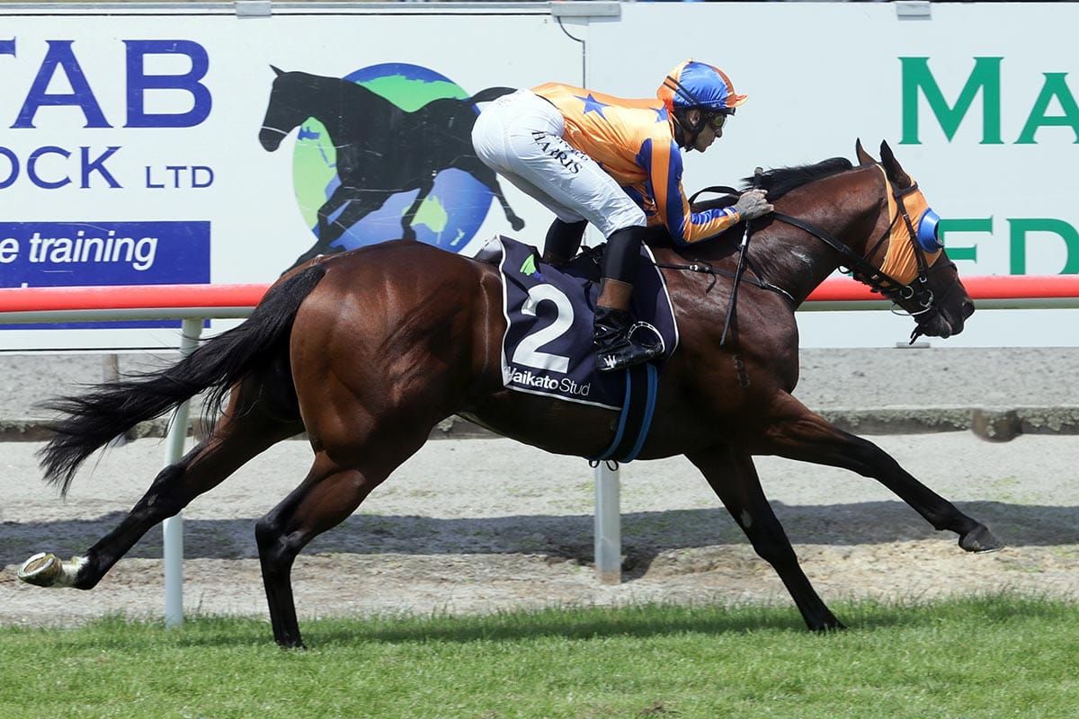 Te Akau flyer puts rivals to the sword at Matamata