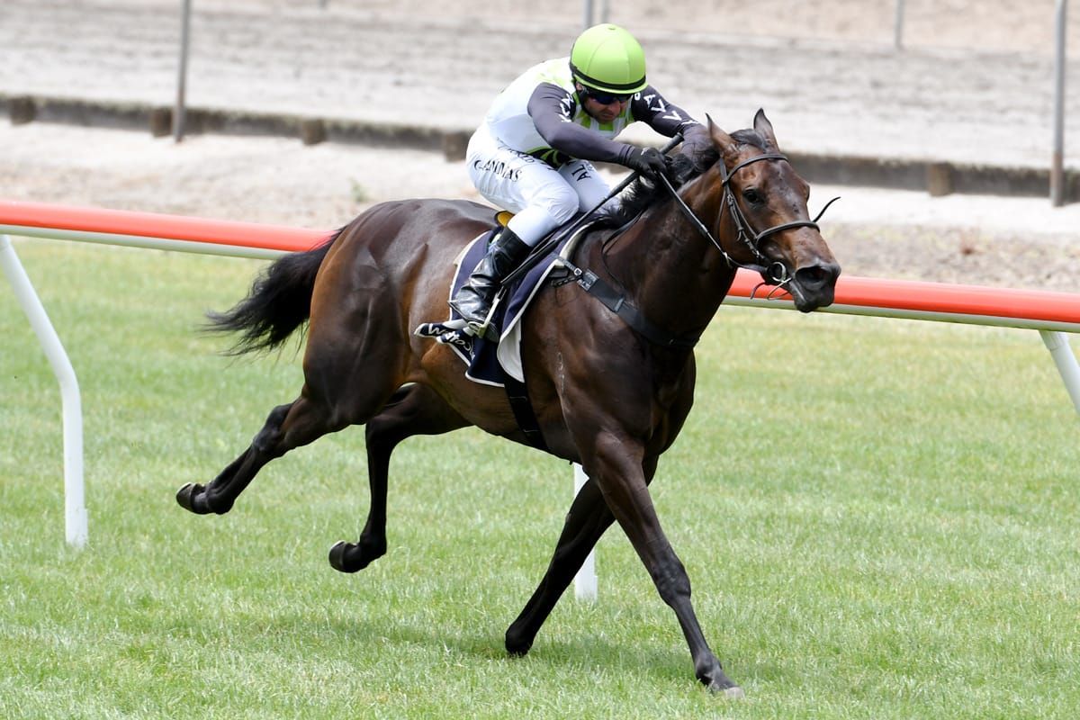 Gerard yet to make Te Rapa decision