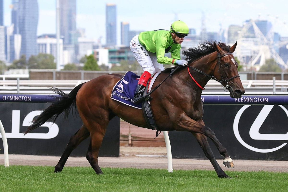 Sydney Cup chance for Tralee Rose