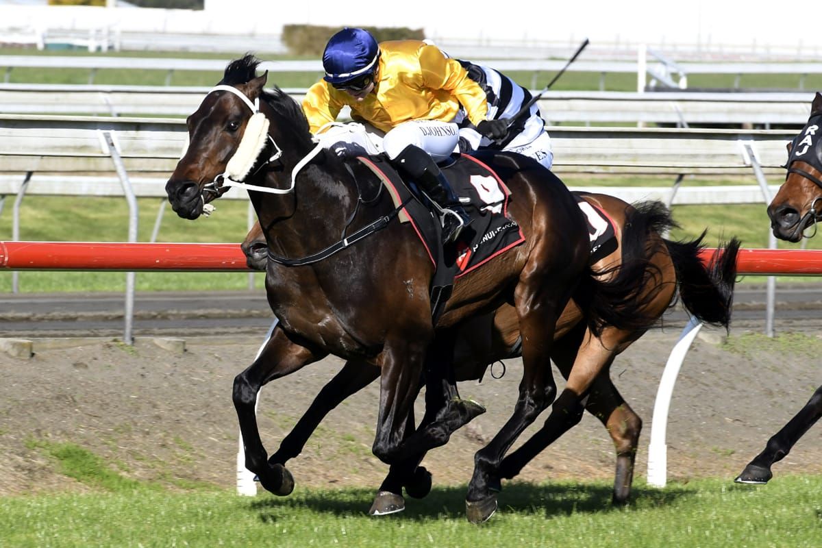 Marsh duo to face challenging assignments