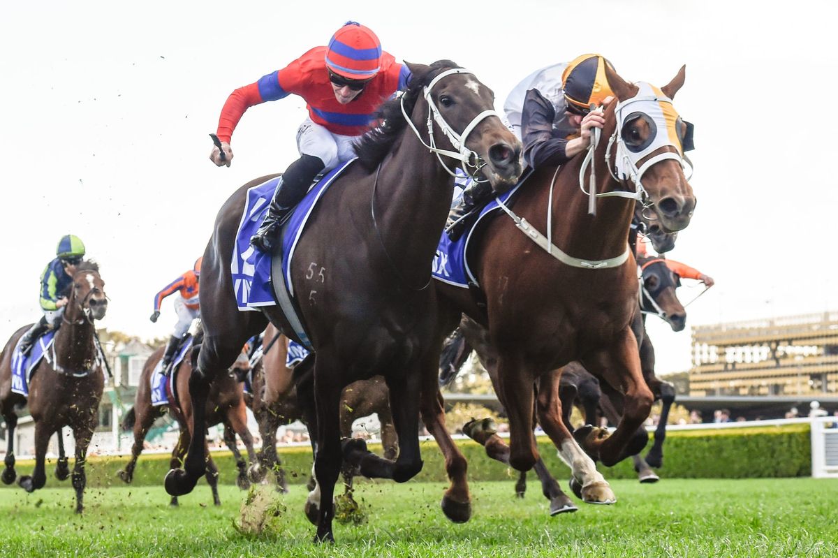 Trainer wary as mare resumes off Cup prep