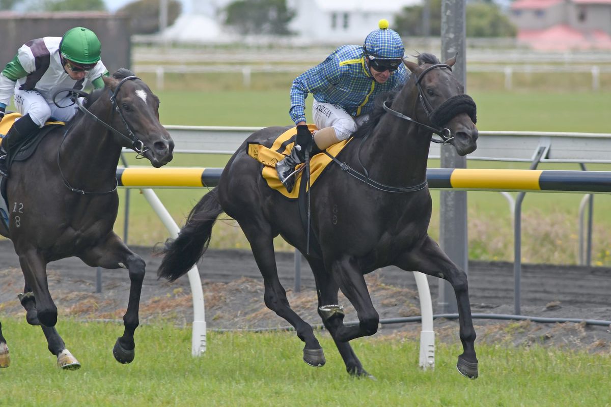 Wellwood has good opinion of Western Springs