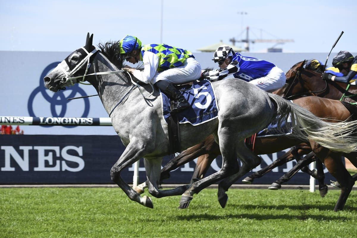Polly Grey bags Australian Group Three