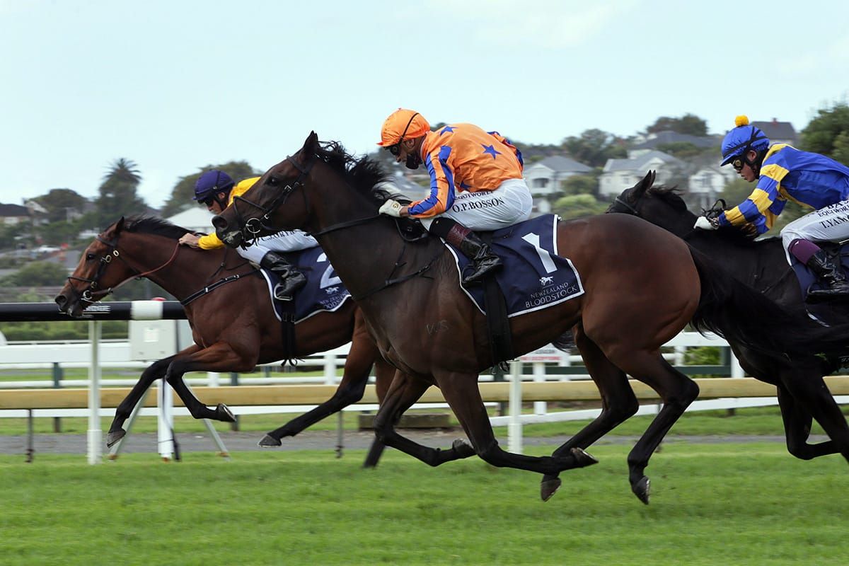 Te Akau Racing enjoy black type bonanza at Ellerslie
