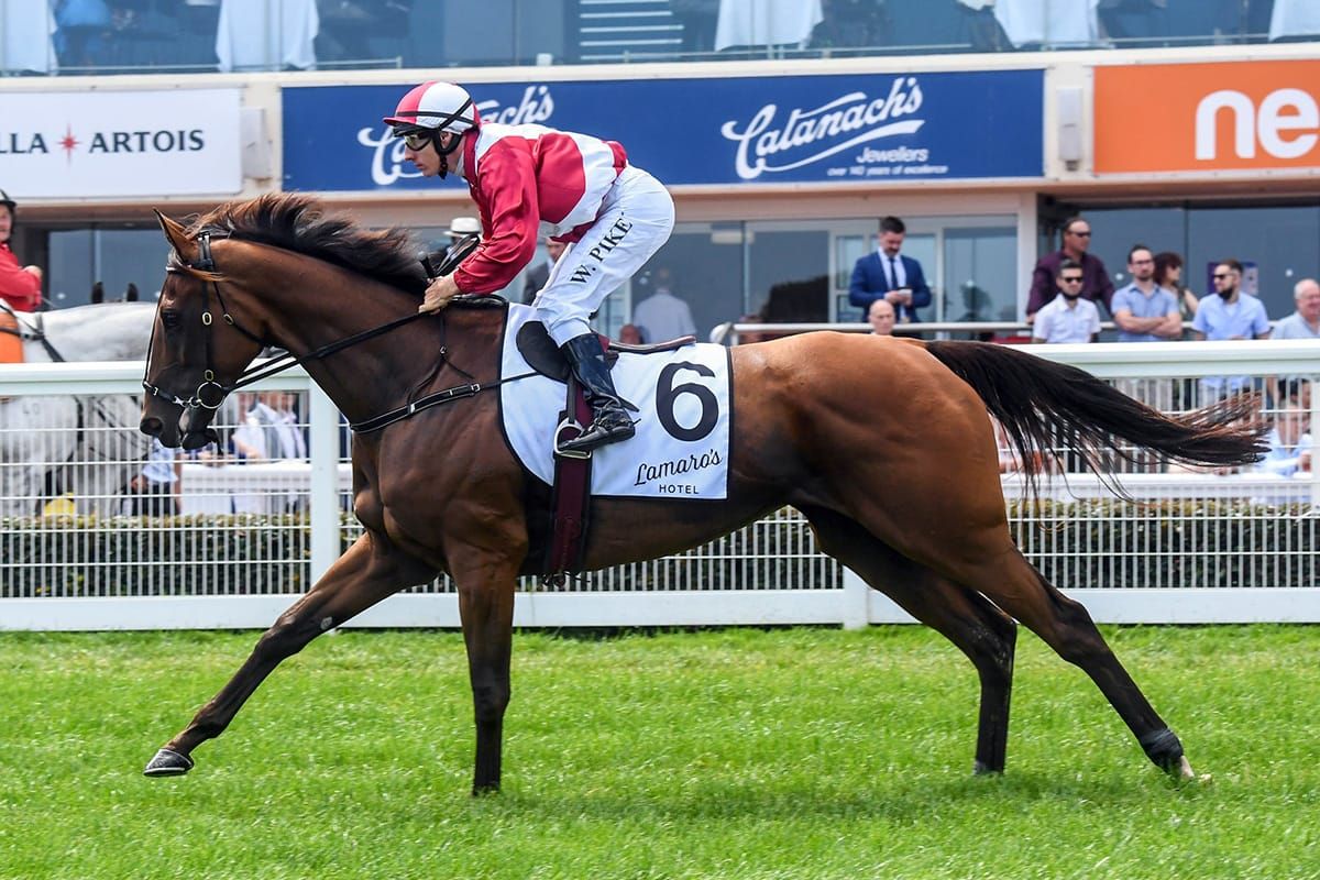 Arcadia Queen under All-Star cloud