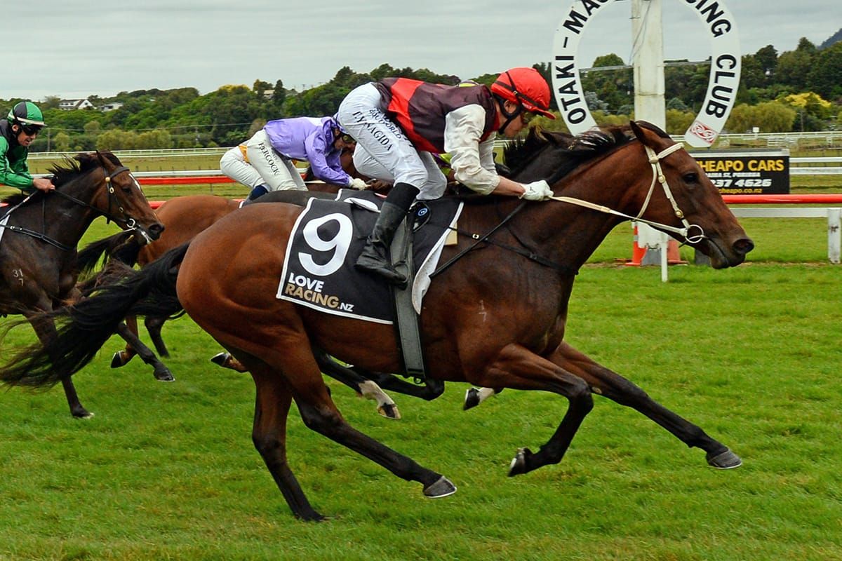 Arjaybee impressive on debut