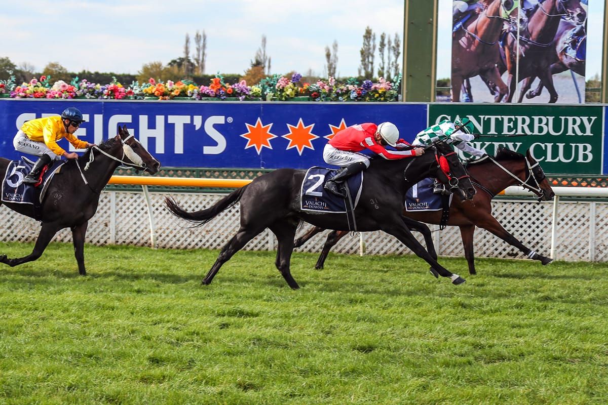 Belle Fascino headlines Riccarton double for Marsh