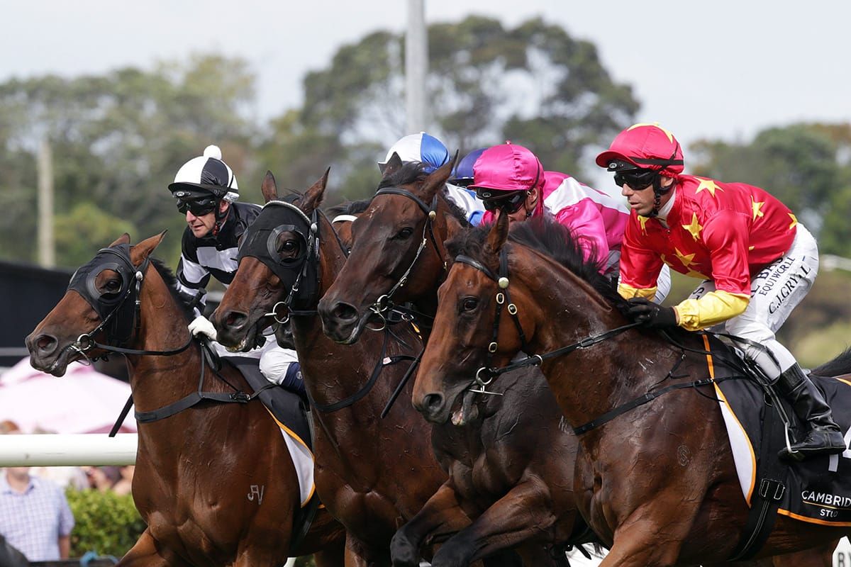 COVID-19 NZTR Update 4th October