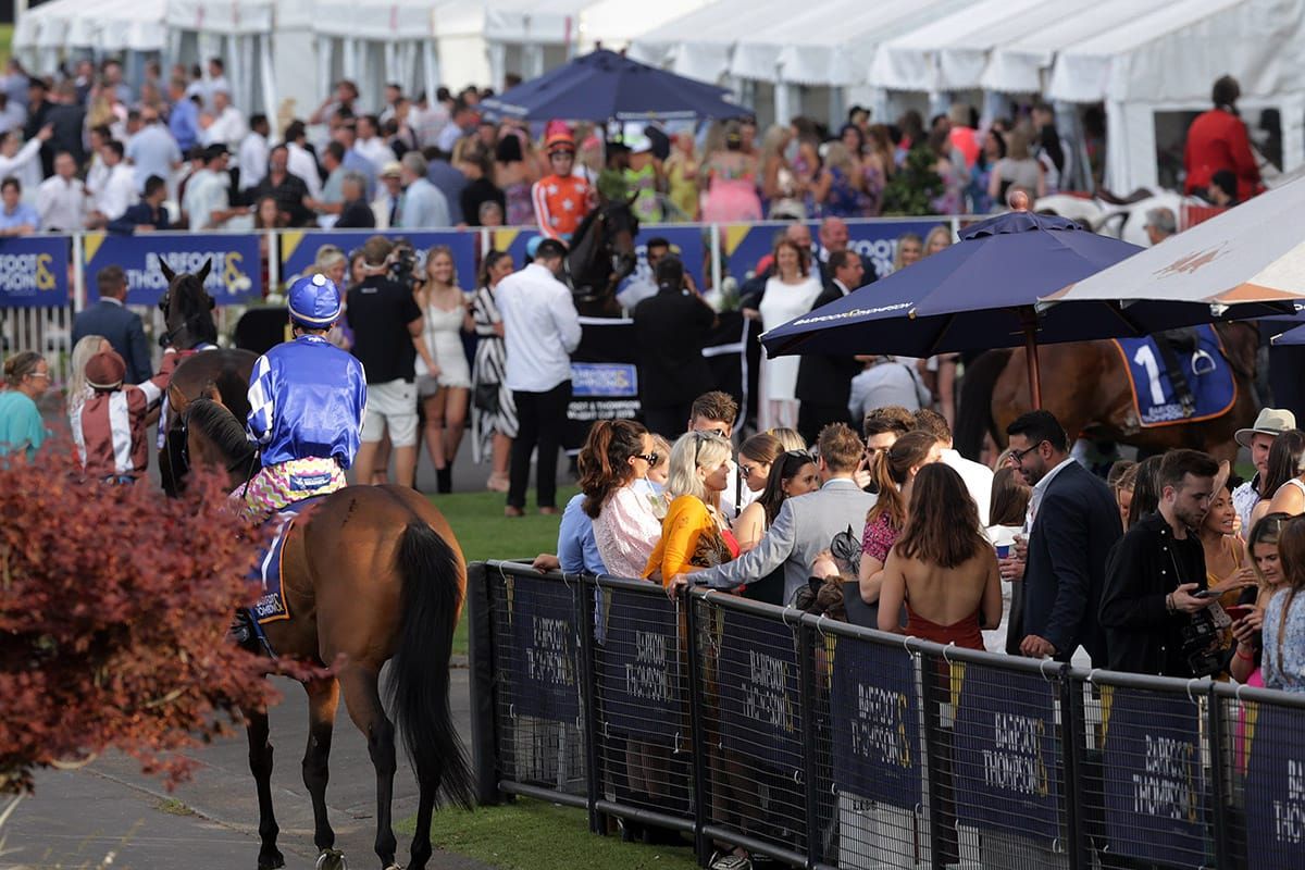 Full crowds for Auckland Cup Day