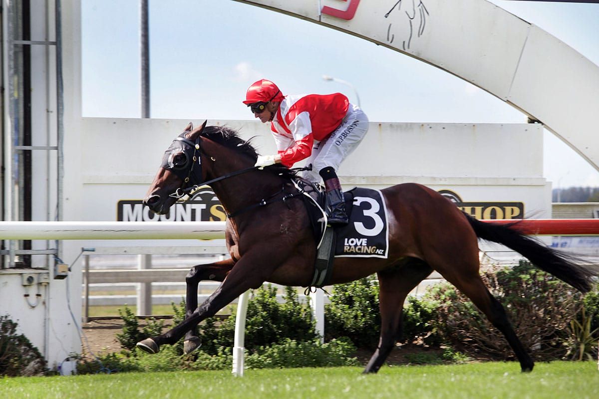 Baker-Forsman unleash promising 3YO stayers