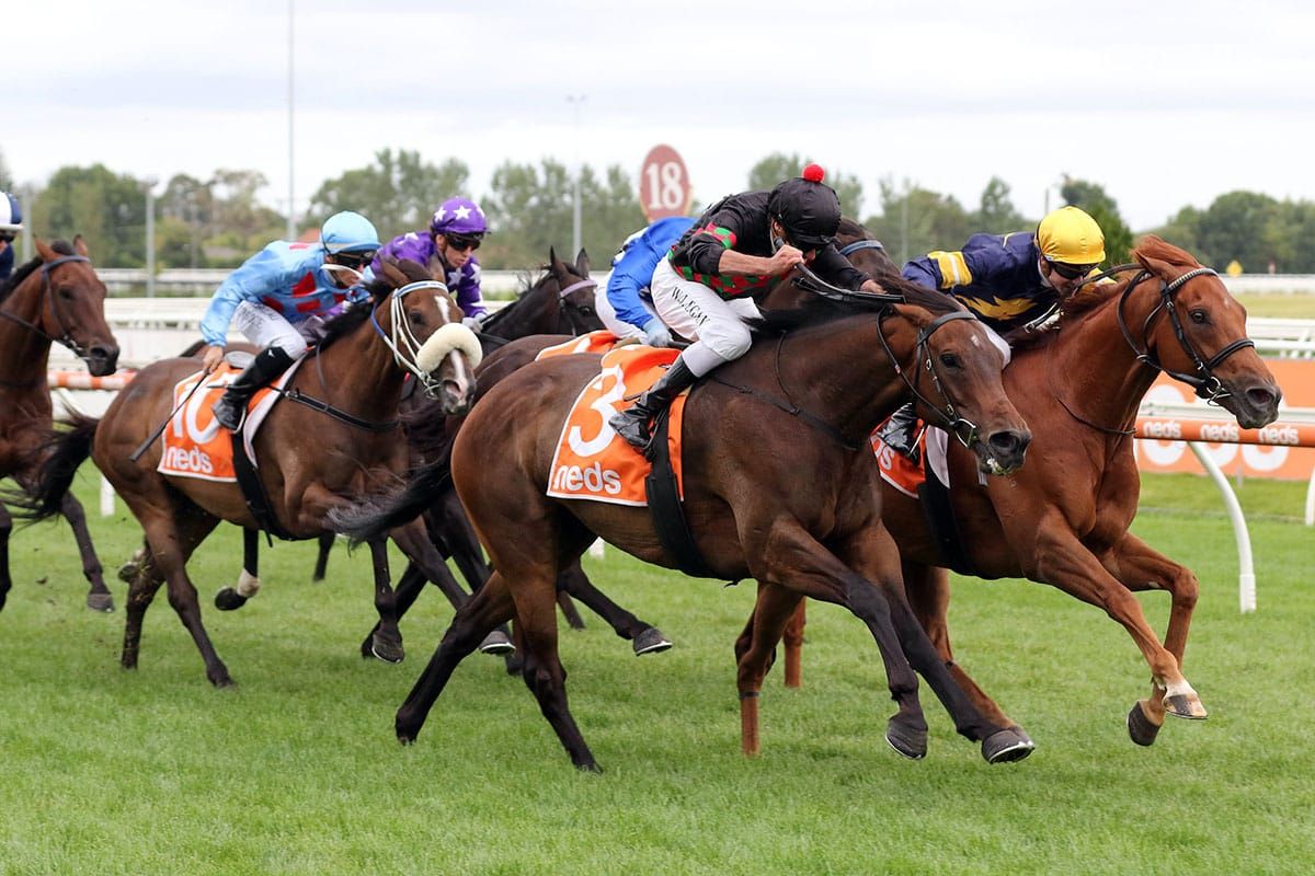 Group One tilt for Defibrillate