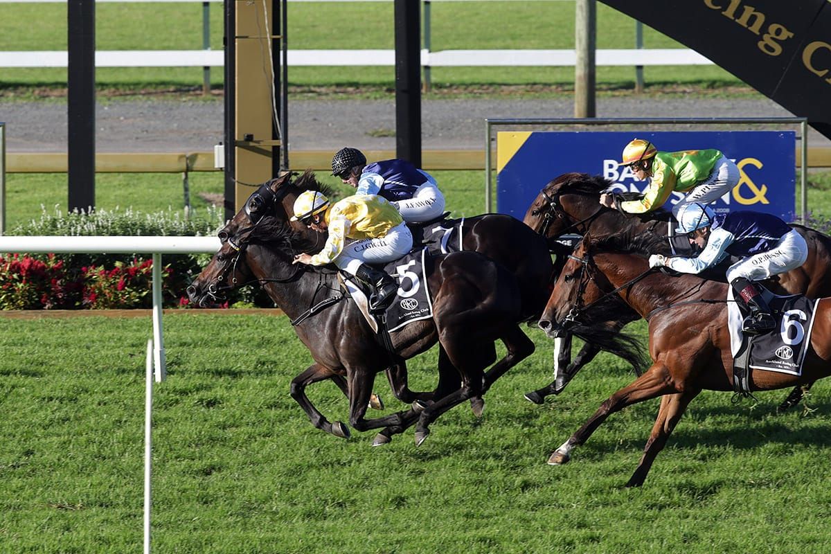 O’Sullivan-Scott trio Sydney bound