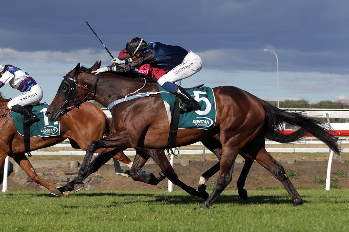 Relieved Williams hopes for local Derby win