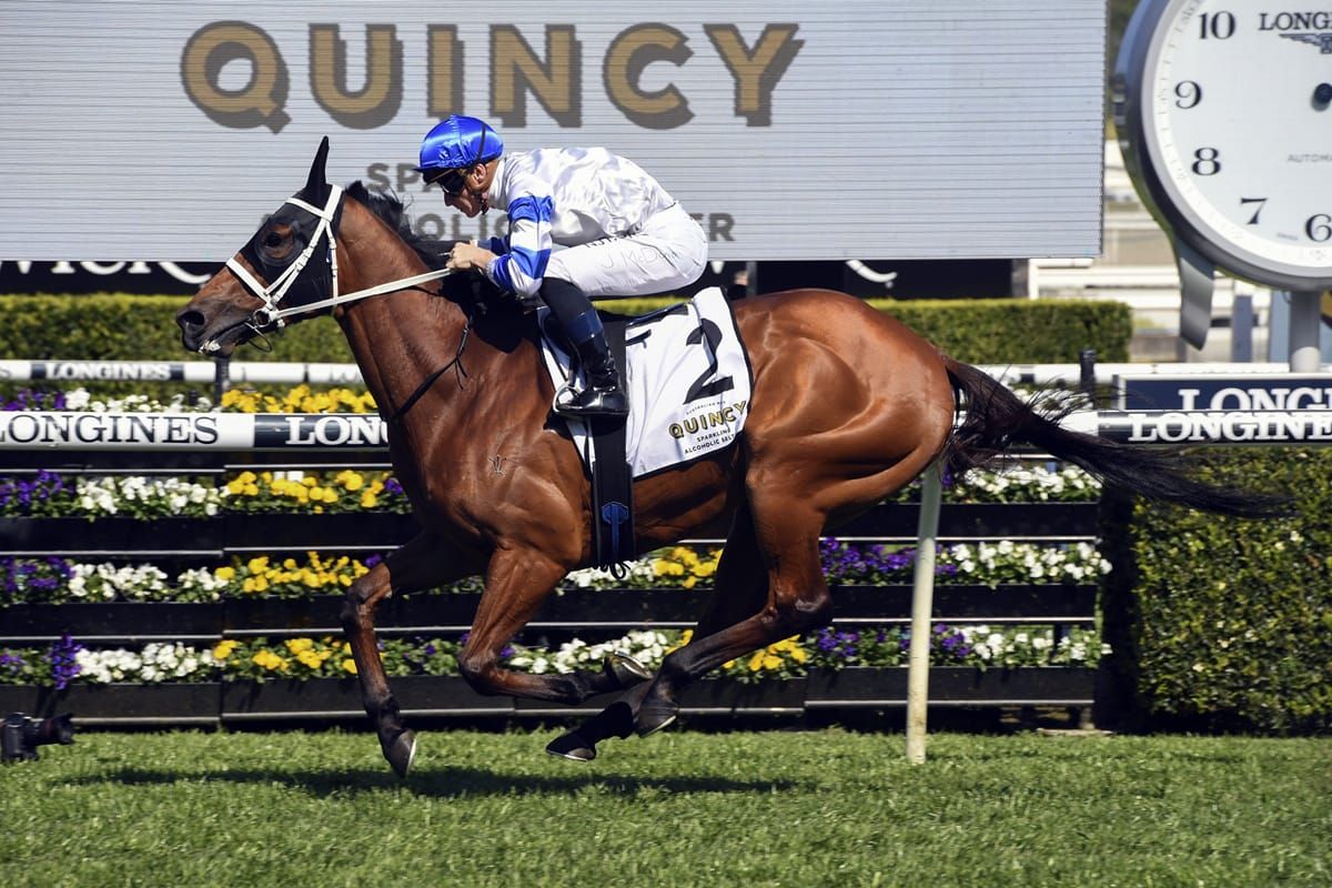 Kiwi trio feature in World’s best