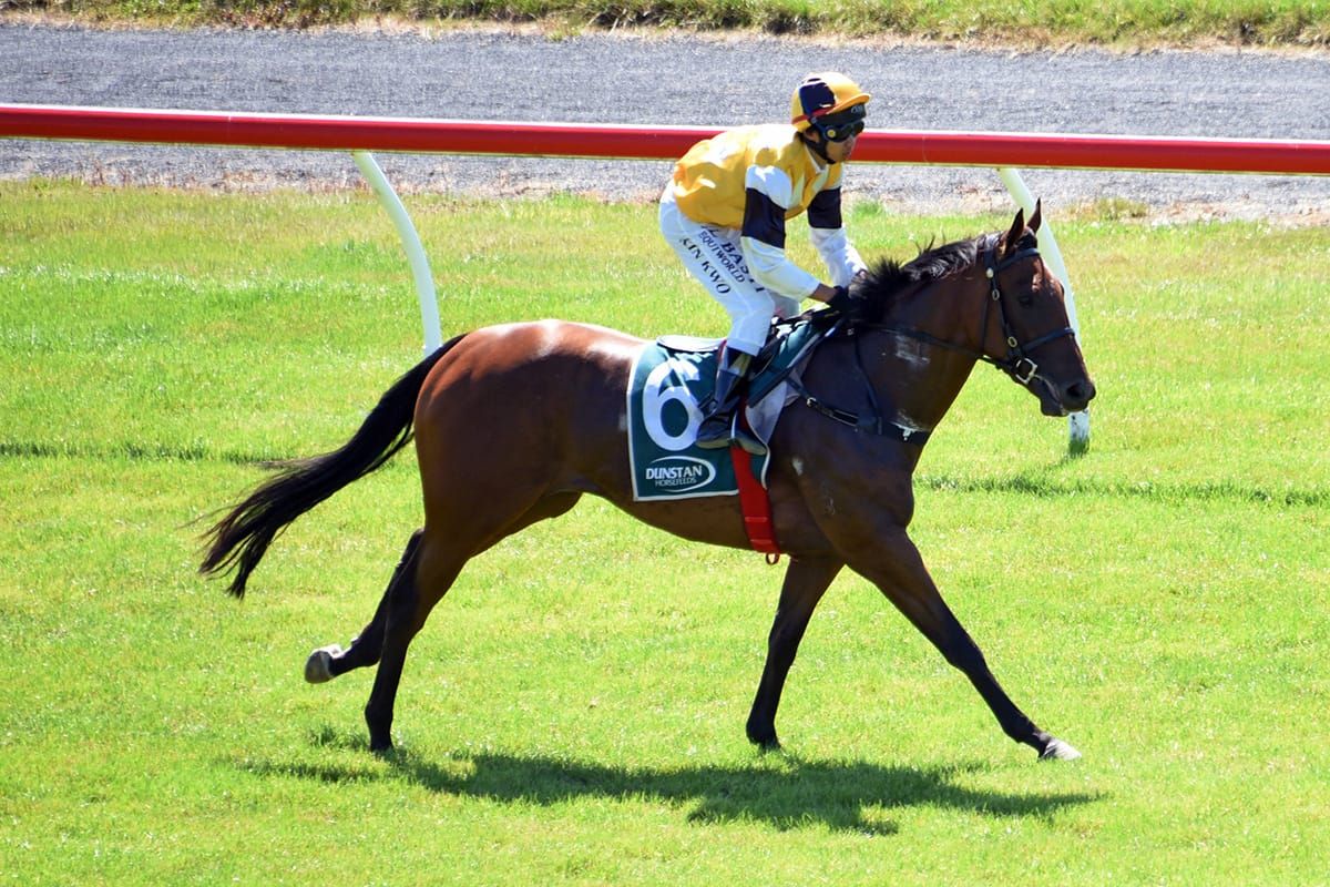 Larpower making winning a habit