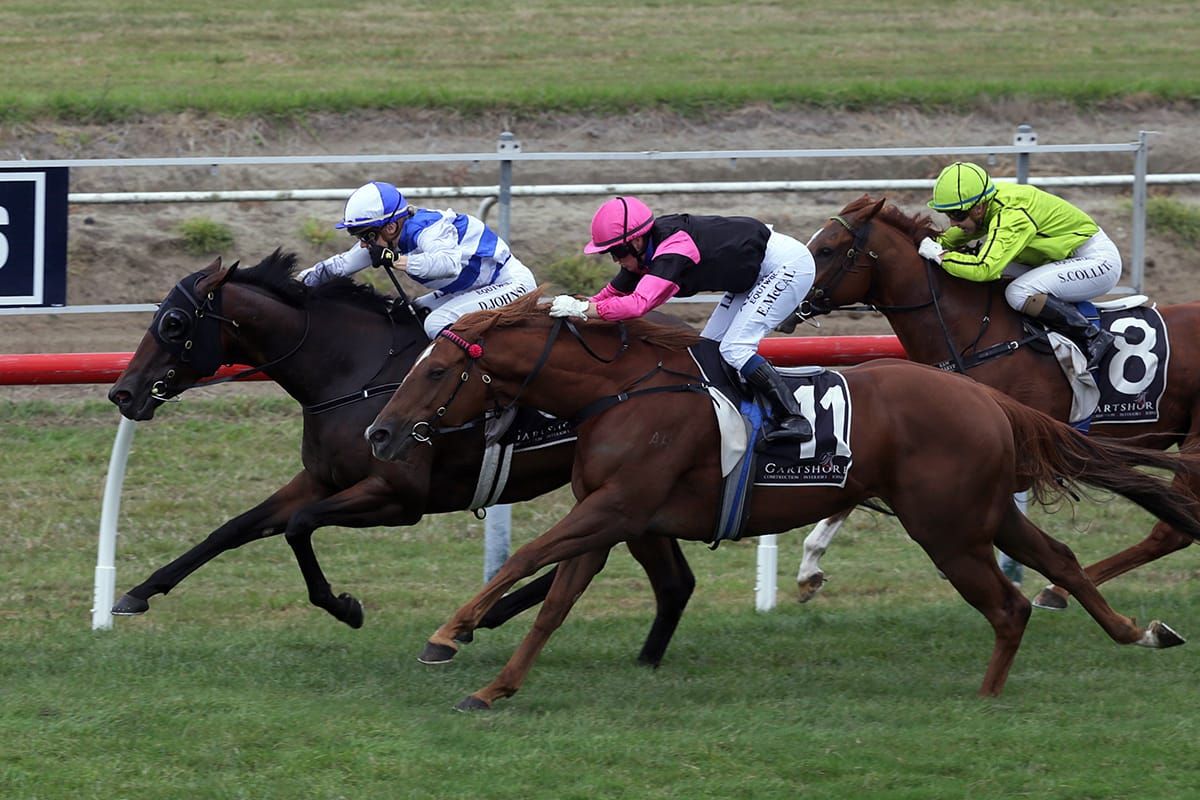 Impressive Tauranga winner ready for a break