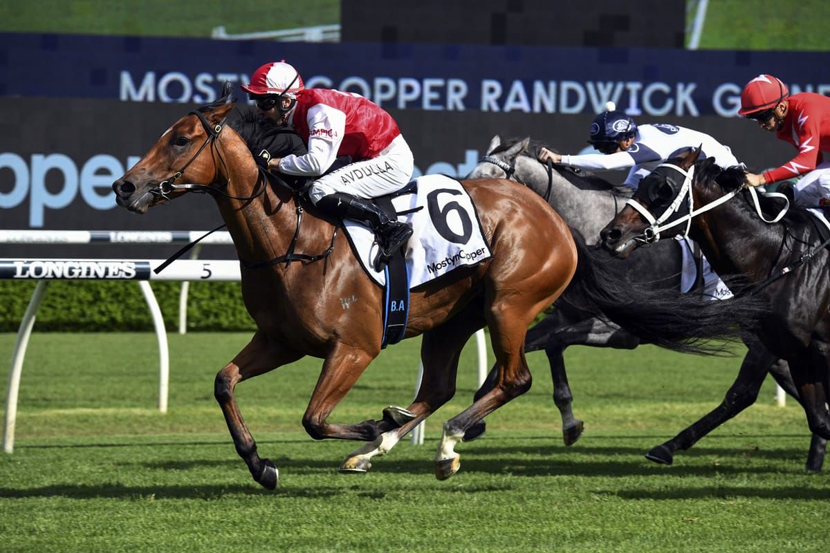 Contributer’s son roars in Randwick Guineas