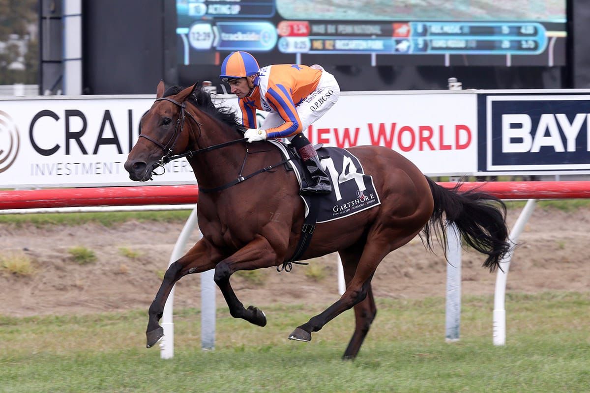Melody Belle excels in Tauranga workout