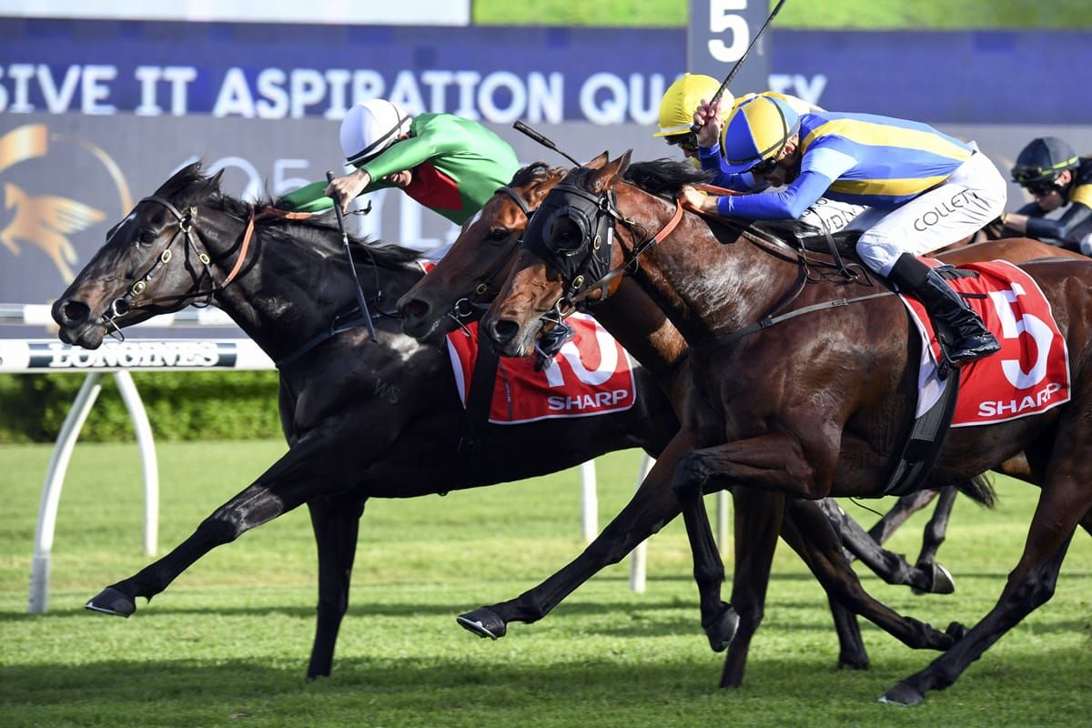 Missybeel adds another Group Three