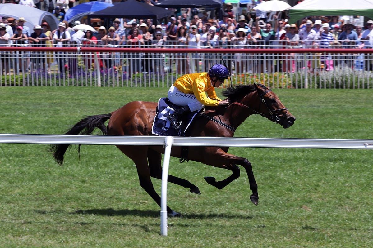 Needle And Thread hoping Oaks rivals get the stitch