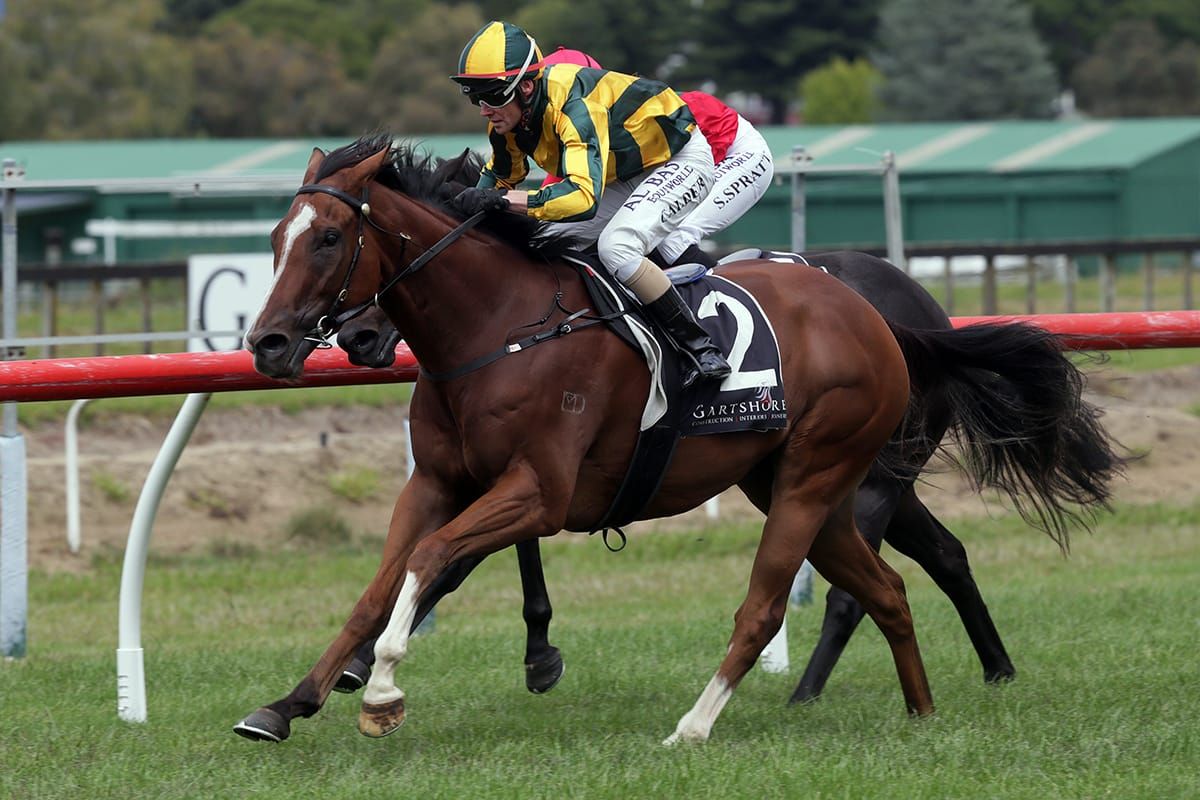 Stakes assignment on the horizon for No Filter