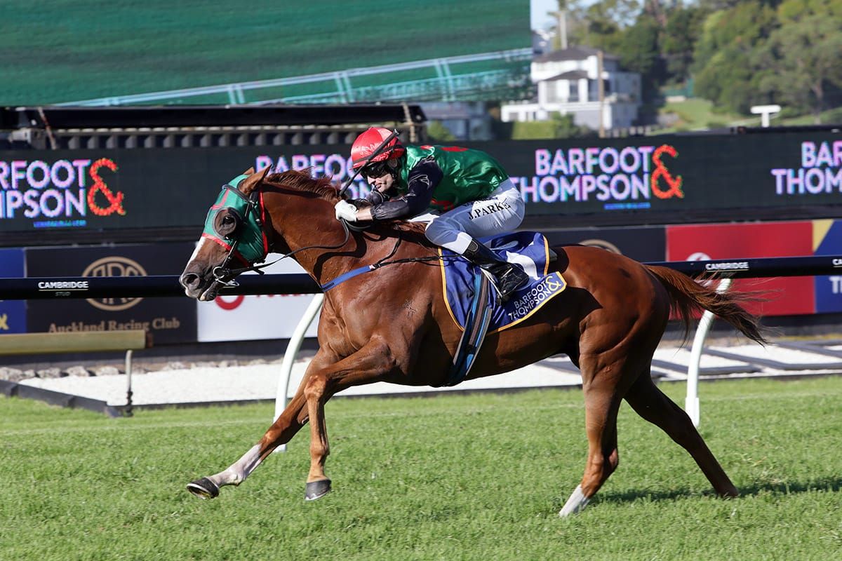 Battling Billy causes minor upset in Auckland Cup