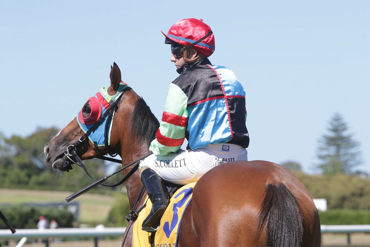 Late Derby contender to be On Display