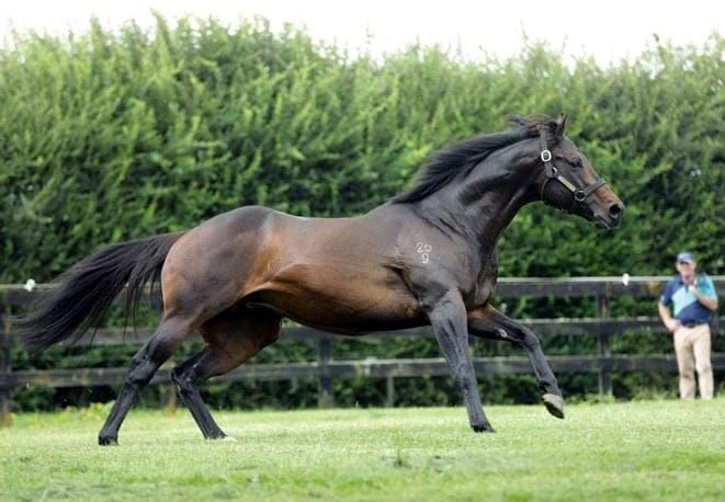 Proisir nomination up for grabs