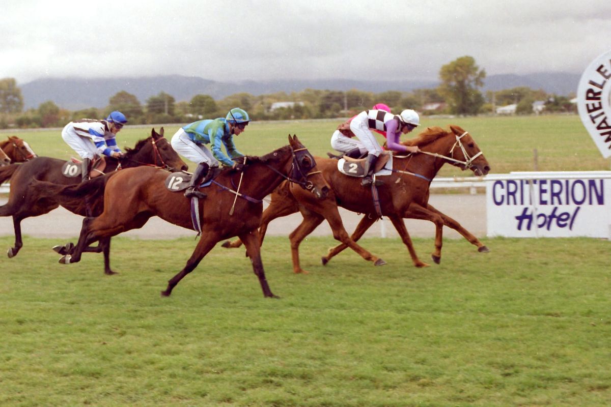 New home away from home for Marlborough Cup