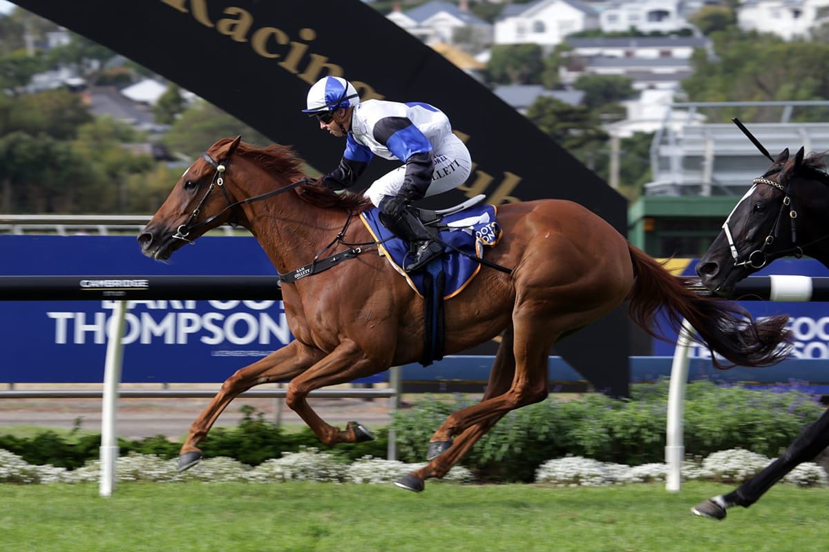 Fuller looking for Cup history to repeat