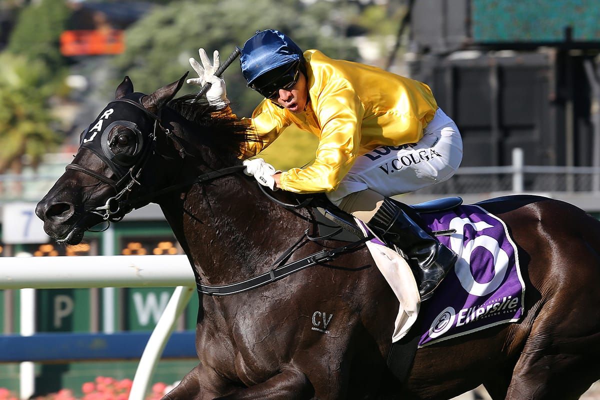 Opportunity to tap into Valachi Downs’ success ends Friday