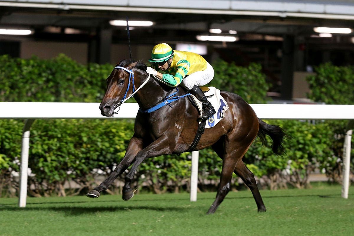 Derby test for Sky Darci