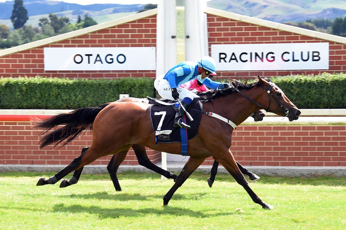 Nervous wait ends in triumph for Nakhle