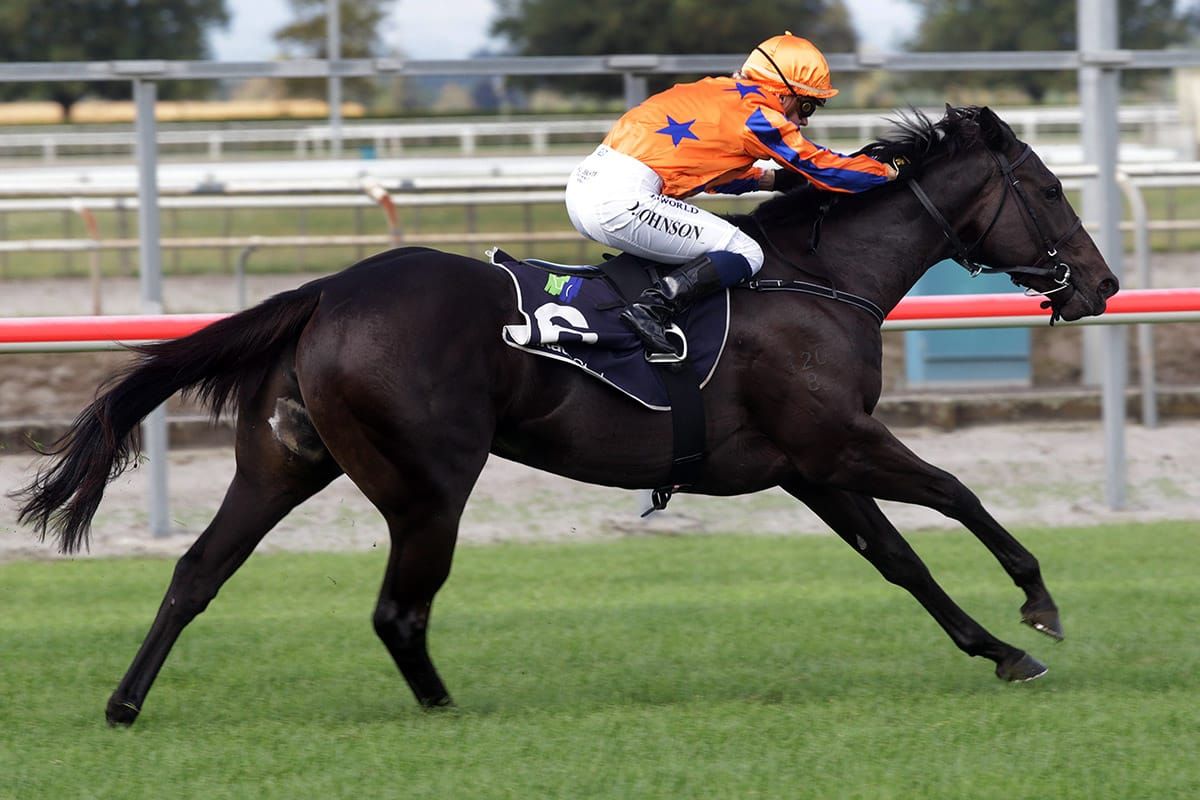 Synchronize lands Pearl Series Maiden