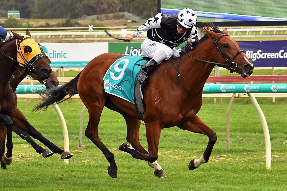 The Stylist too slick for her rivals