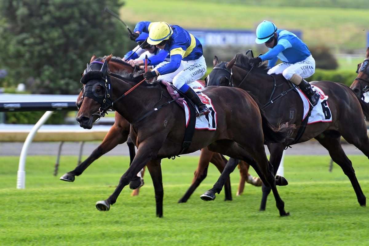 Tauranga test for Tina Again