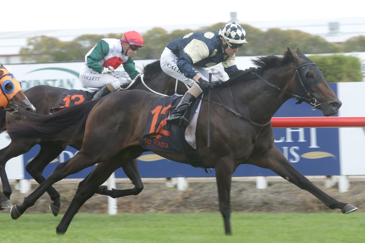 Tokorangi to step out at Flemington