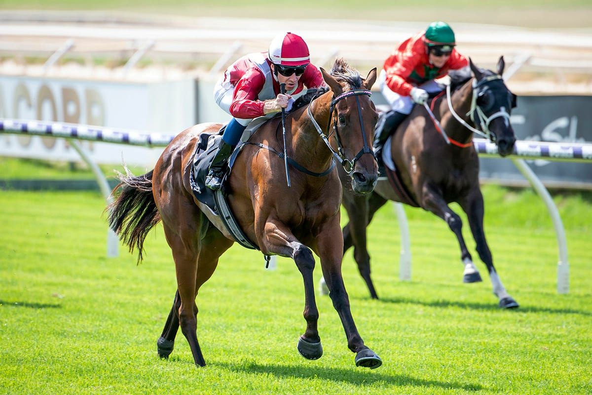 Western Empire on track for WA Derby