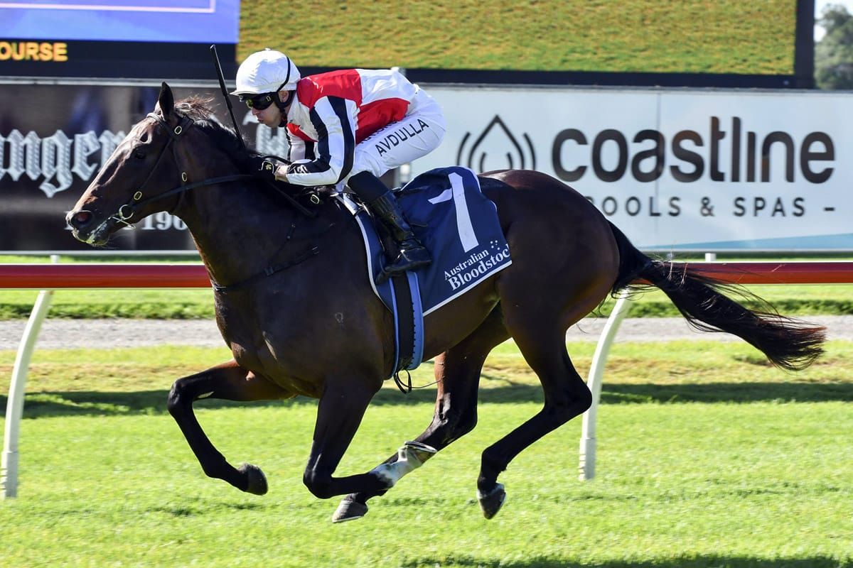 Positive start for Cotehele