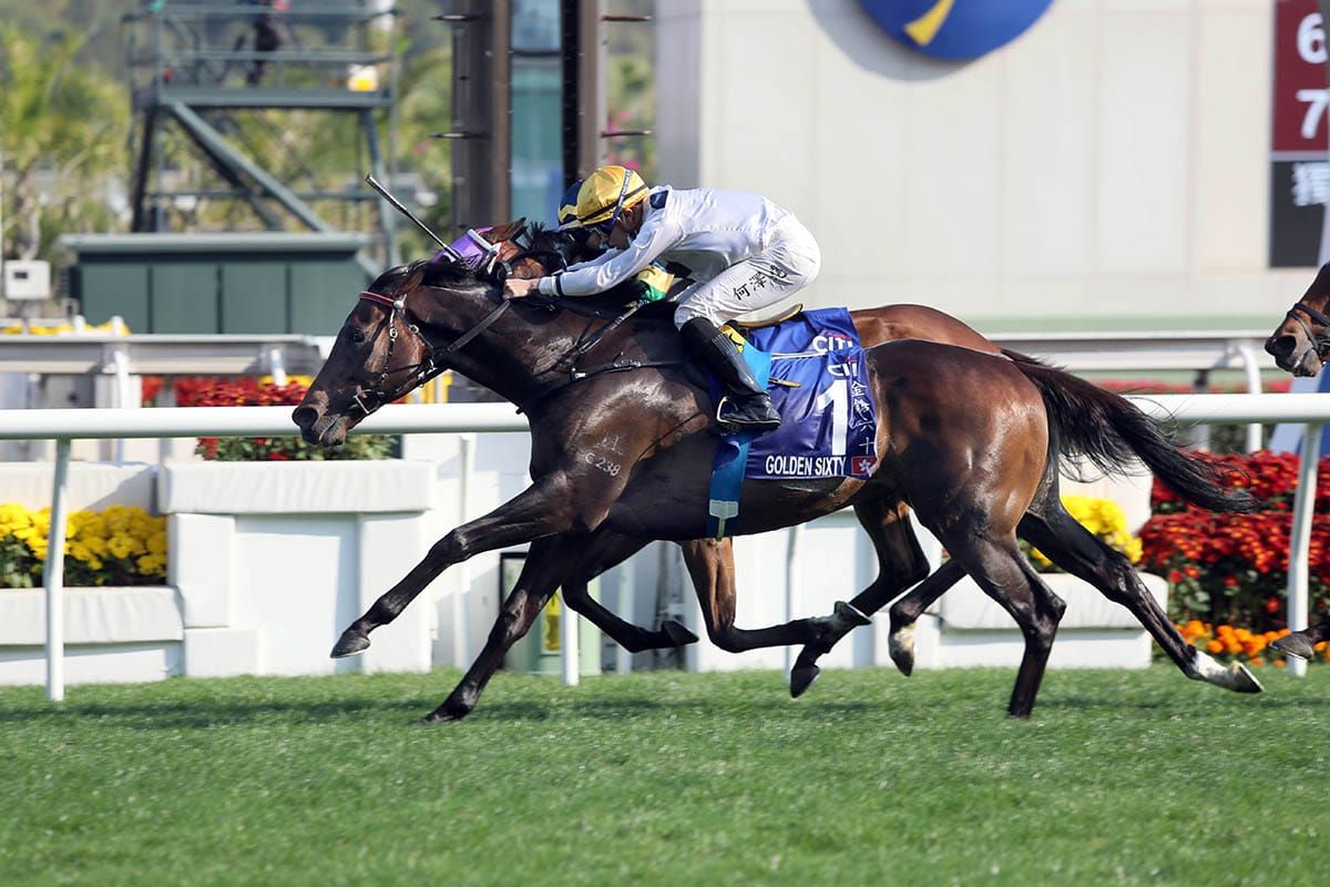 Golden Sixty ‘healthy and happy’ ahead of seasonal return