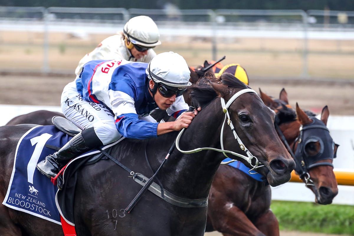 Queensland options not to be sneezed at