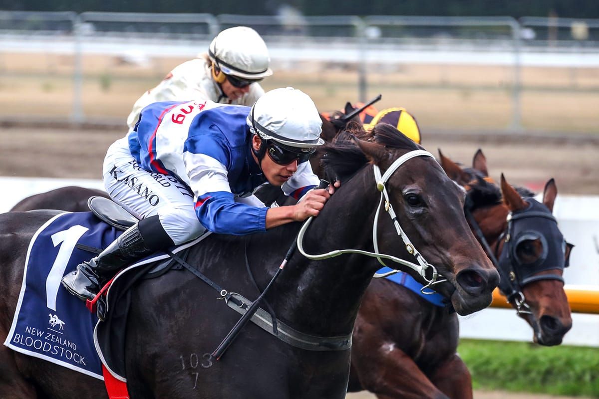 Atishu dominates rivals in Warstep Stakes