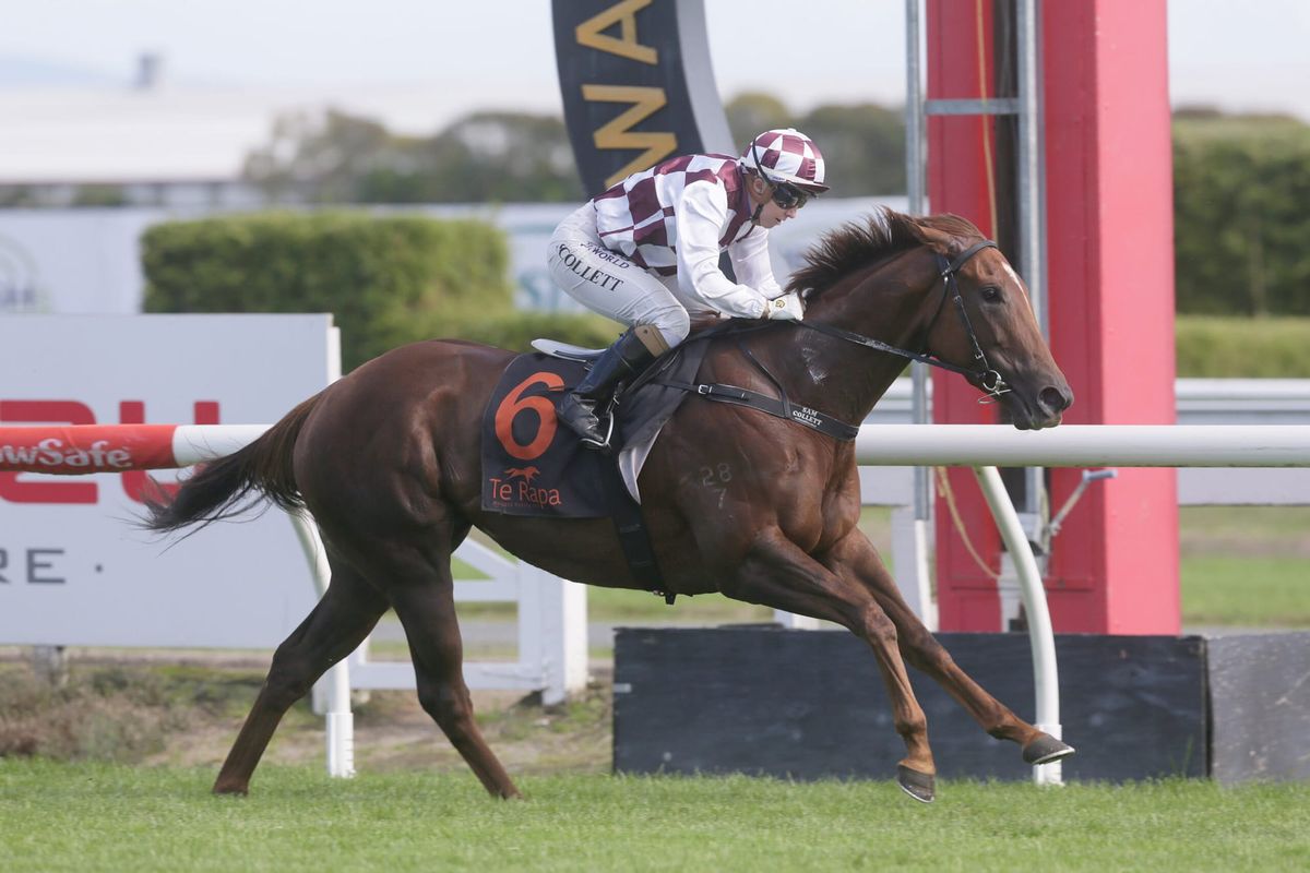 Babylon Berlin searching for stakes victory