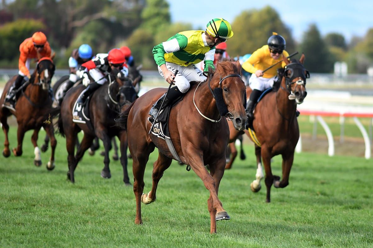 Beauden set for Riccarton feature