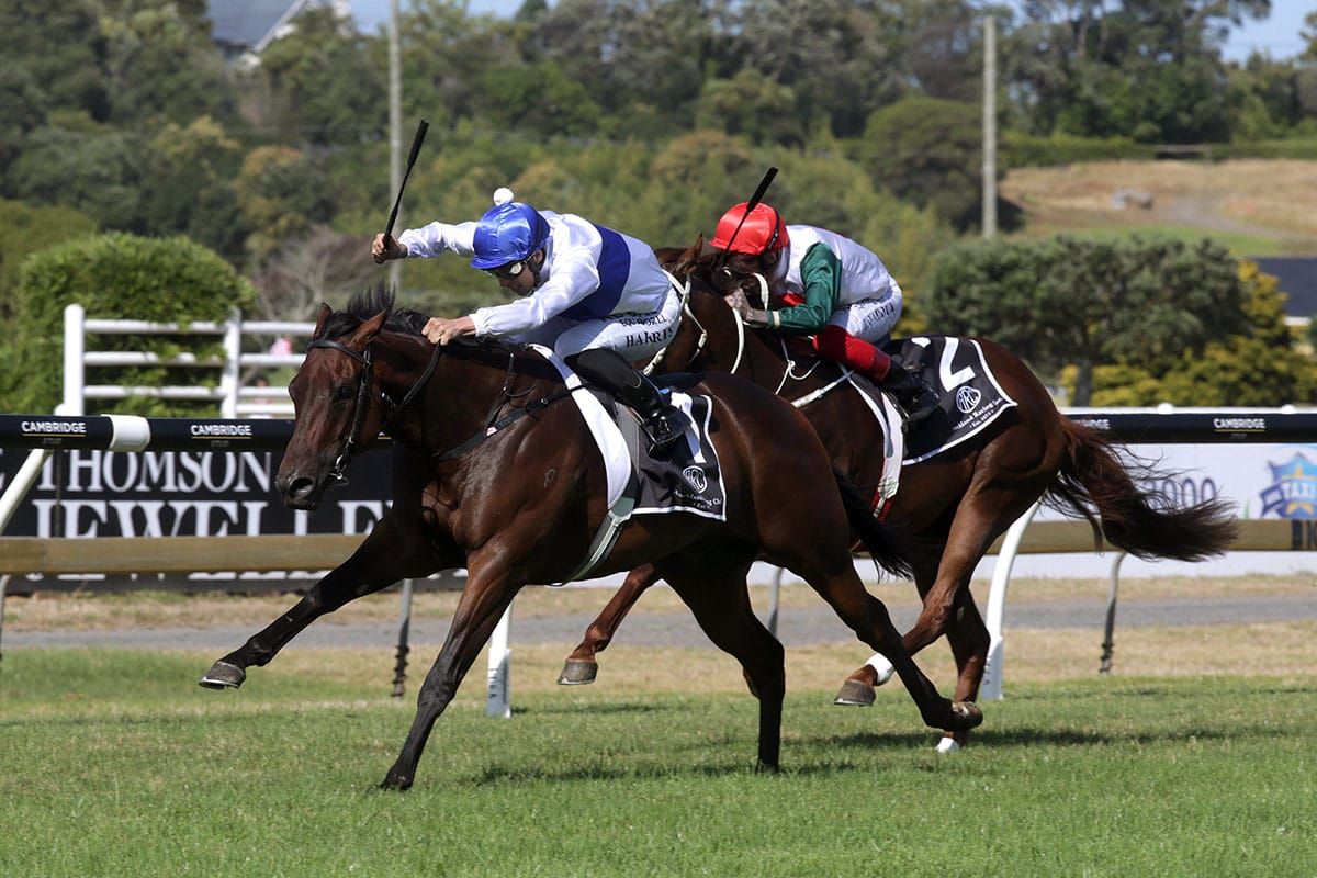 Catalyst progressing well for spring campaign