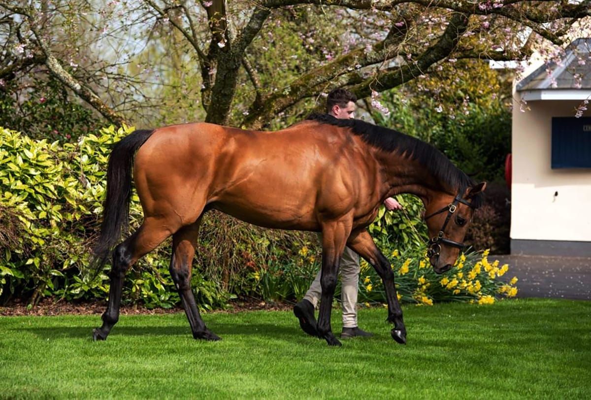 Champion miler Circus Maximus to Windsor Park