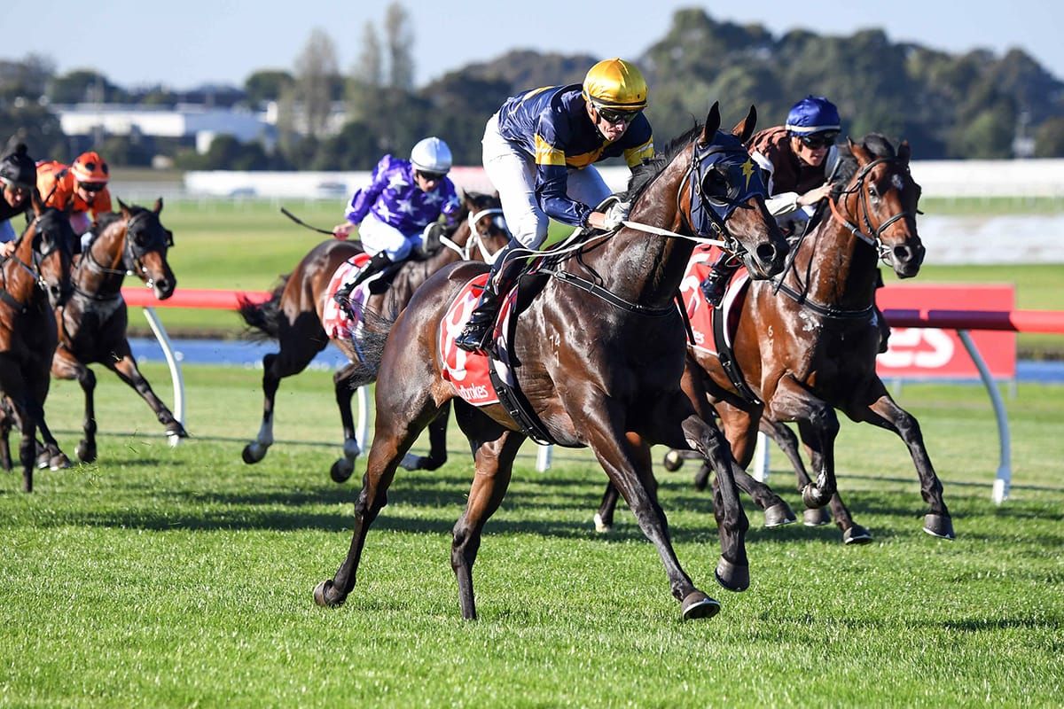 SA Derby ambitions for Tavistock 3YO