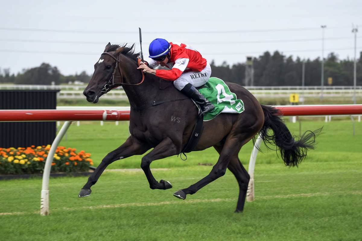 Rollercoaster week for Icebath’s connections