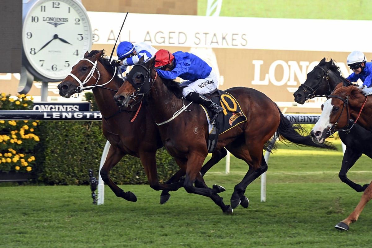 All Aged for Ocean Park’s Kolding